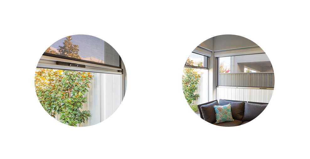 slide-4-1500x508 - Copy